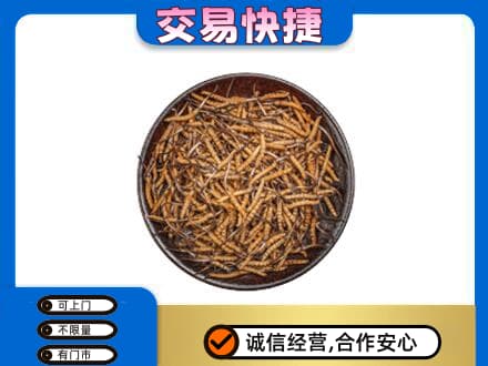 烟台市栖霞礼品回收虫草.jpg