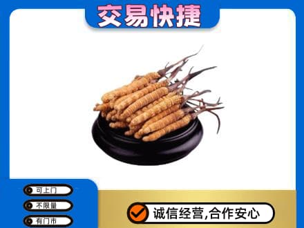 烟台市栖霞礼品回收散虫草.jpg